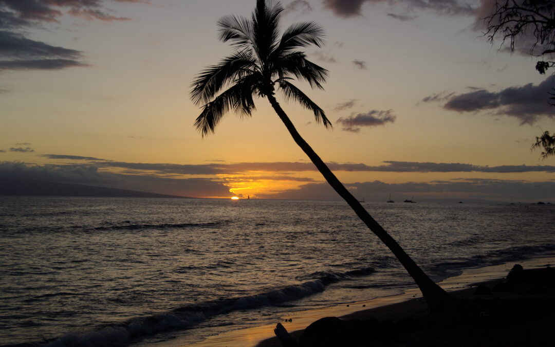 Hawaii – die Inseln aus Feuer – Teil 1 (Moloka`i und Maui)