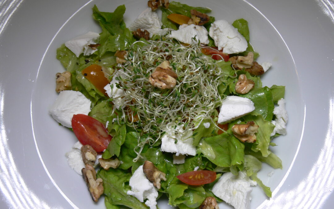 Sommeressen: grüner Salat mit Ziegenkäse und Honig-Senf-Dressing